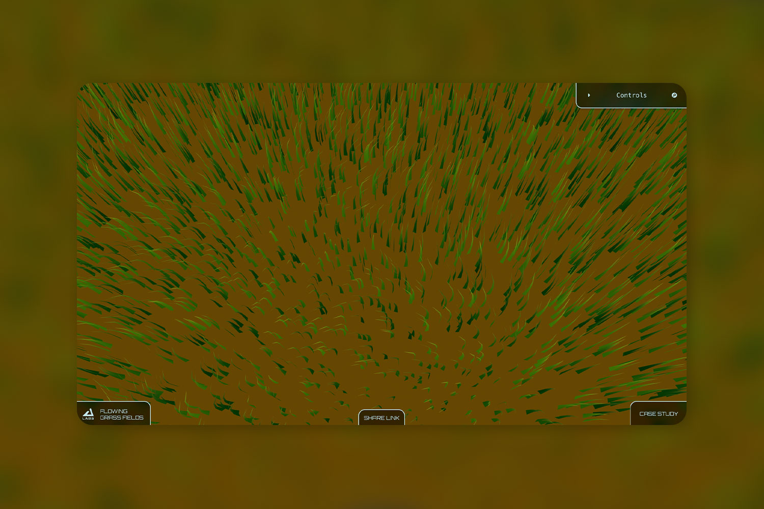 Showcase of grass blades spread throughout the field.