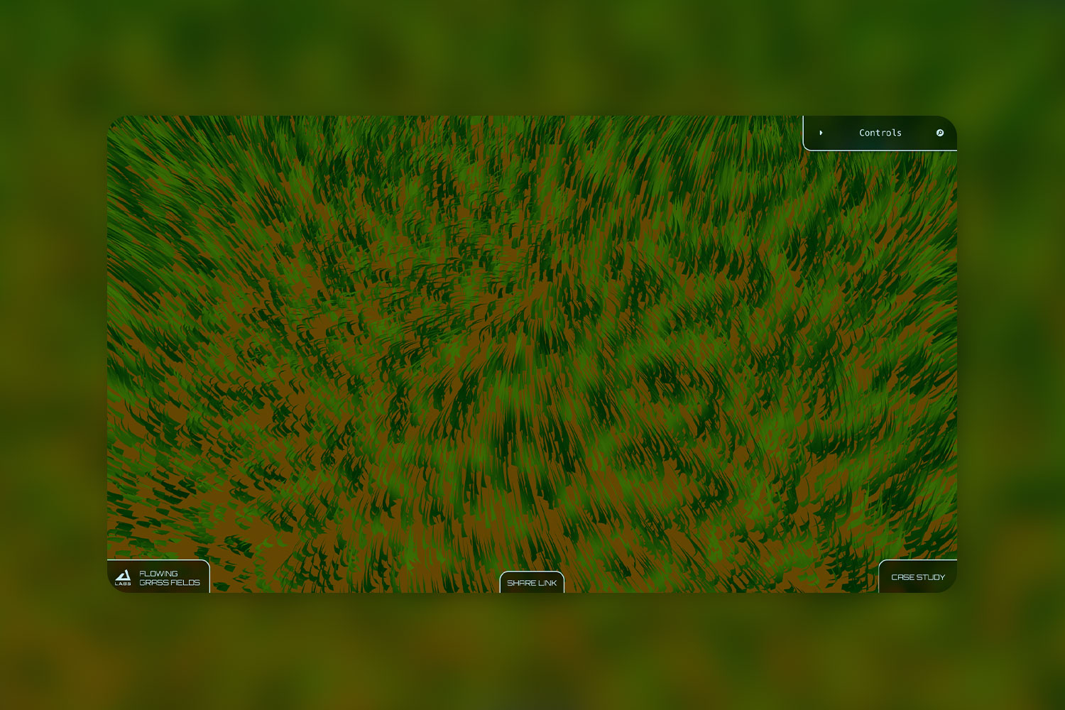 Showcase of grass blades spread throughout the field.