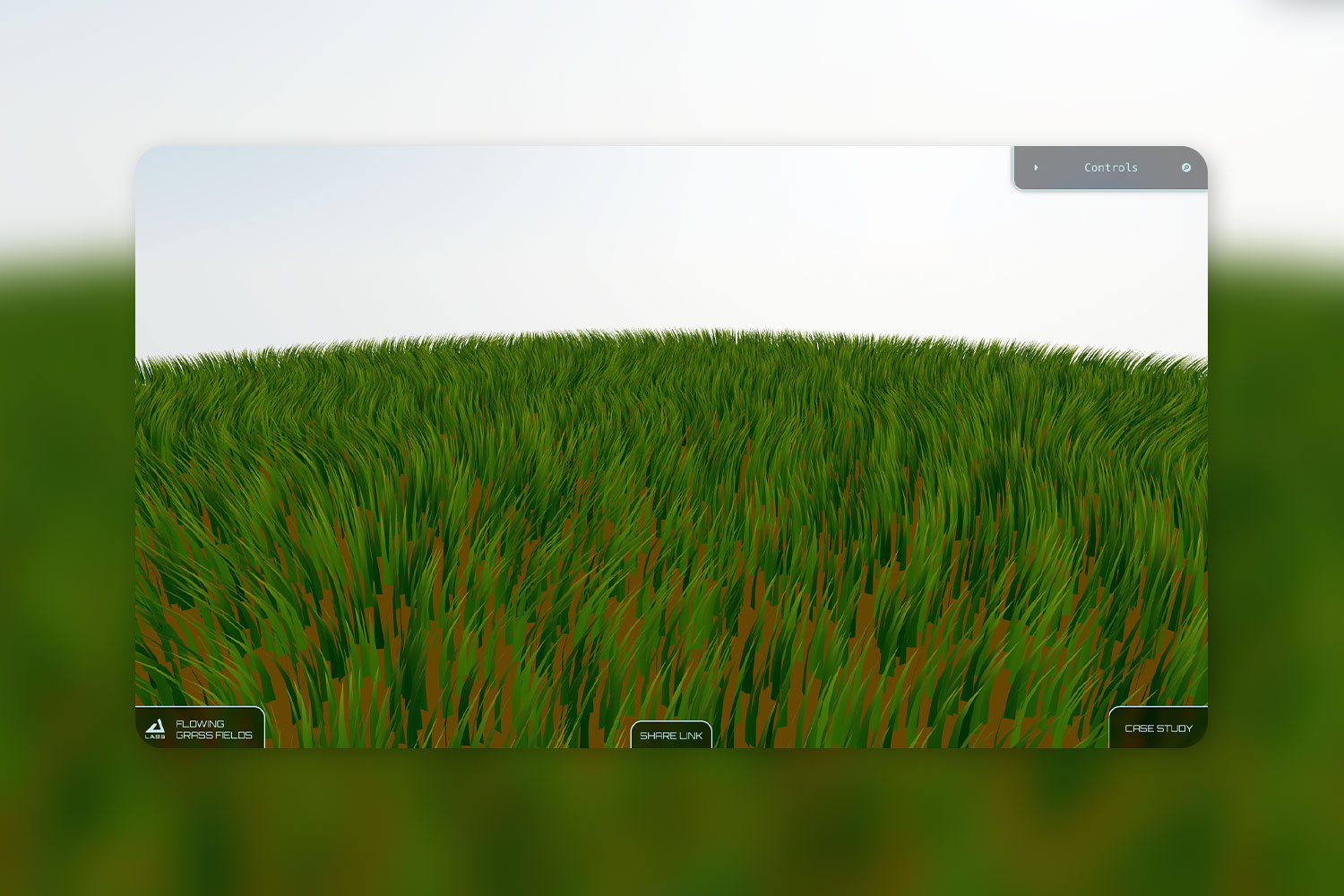 Showcase of grass field with less density.